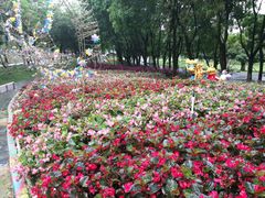 -松山湖梦幻百花洲