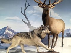 -陕西自然博物馆