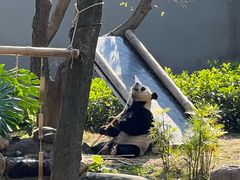 -柳州市动物园