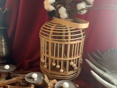 -雪灵魔法世界SHELLY’S TAROT(大良桂畔里店)