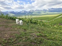 -新疆那拉提国家旅游度假区