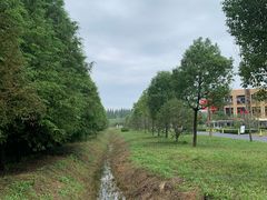 -黄海国家森林公园