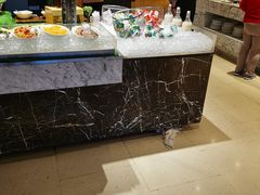 -上海龙之梦万丽酒店