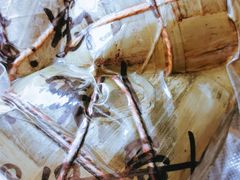 全家福-小阿姨小脚粽(静安店)