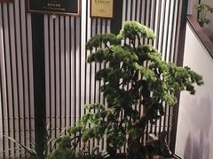 -溪畔•新徽菜(碧湖云溪店)