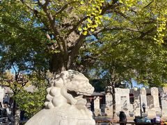 -北京石刻艺术博物馆(五塔寺)