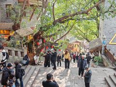 -重庆十八梯传统风貌区