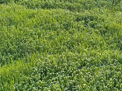 -东钱湖小普陀景区