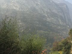 -少华山国家森林公园