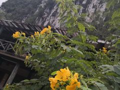 -大新明仕山庄