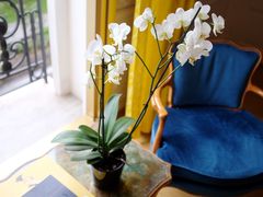 -内格雷斯科酒店