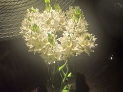 -Love Story爱情故事·养生SPA会所(新侨店)