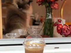 椰子糖拿铁-灯塔咖啡馆BOOK·Coffee Shop