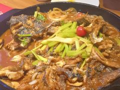 -老板恋上鱼(恒隆广场店)