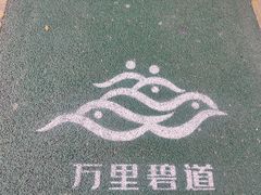 -芒洲湿地公园