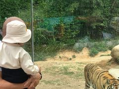 -泉州海丝野生动物世界