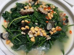 -宝园酒家(美林M·LIVE天地东座店)