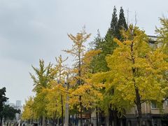 -四川大学(望江校区)