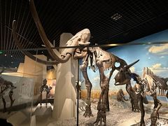 -国家自然博物馆