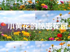 -尚贤河湿地
