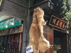 -水磨古镇