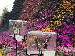 -重庆市江北嘴中央商务区中央公园