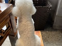 -楠火锅(绵阳首店)
