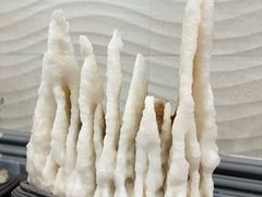 -游龙石文化科普馆