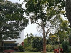 -中国科学院西双版纳热带植物园