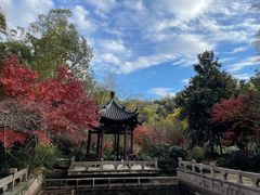 -杭州半山国家森林公园