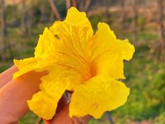 -露天矿生态公园