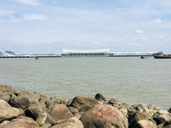 -吴淞炮台湾湿地森林公园烧烤区