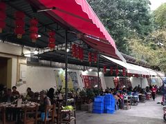 -章记正宗南岗鱼蛋火锅