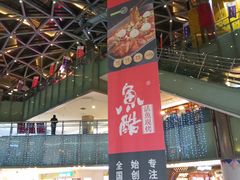 -鹏欣水游城