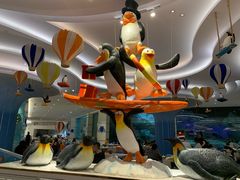 -帝企鹅自助餐厅•儿童岛•真企鹅(长隆企鹅酒店)