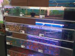 -大润发(张江店)
