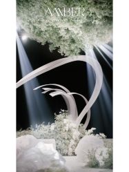 -琥珀婚礼策划AMBER WEDDING