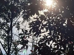 -艾溪湖湿地公园