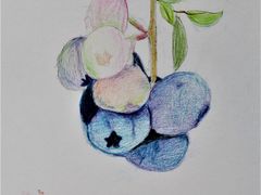 -鼎画艺术机构(贵都店)