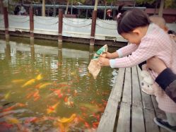 -大望京儿童游乐场