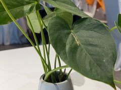 -眉州东坡(华联万柳店)