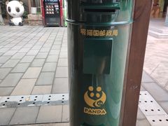 景点-成都大熊猫繁育研究基地