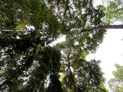 -成都杜甫草堂博物馆