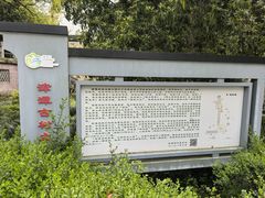 -新安江山水画廊风景区