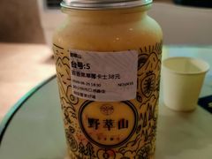 -野萃山·潮汕厚果汁(十亩地店)