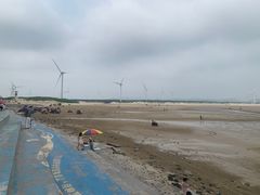 -长江澳风力发电景观区