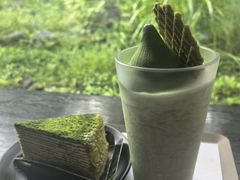 -雪绿茶博物馆
