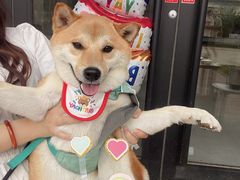 -小意思咖啡店(草桥店)