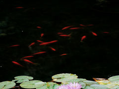 -中山公园