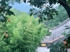 -潭柘寺景区
